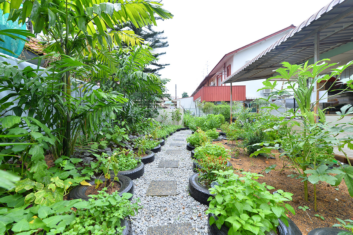 kinderland sengkang