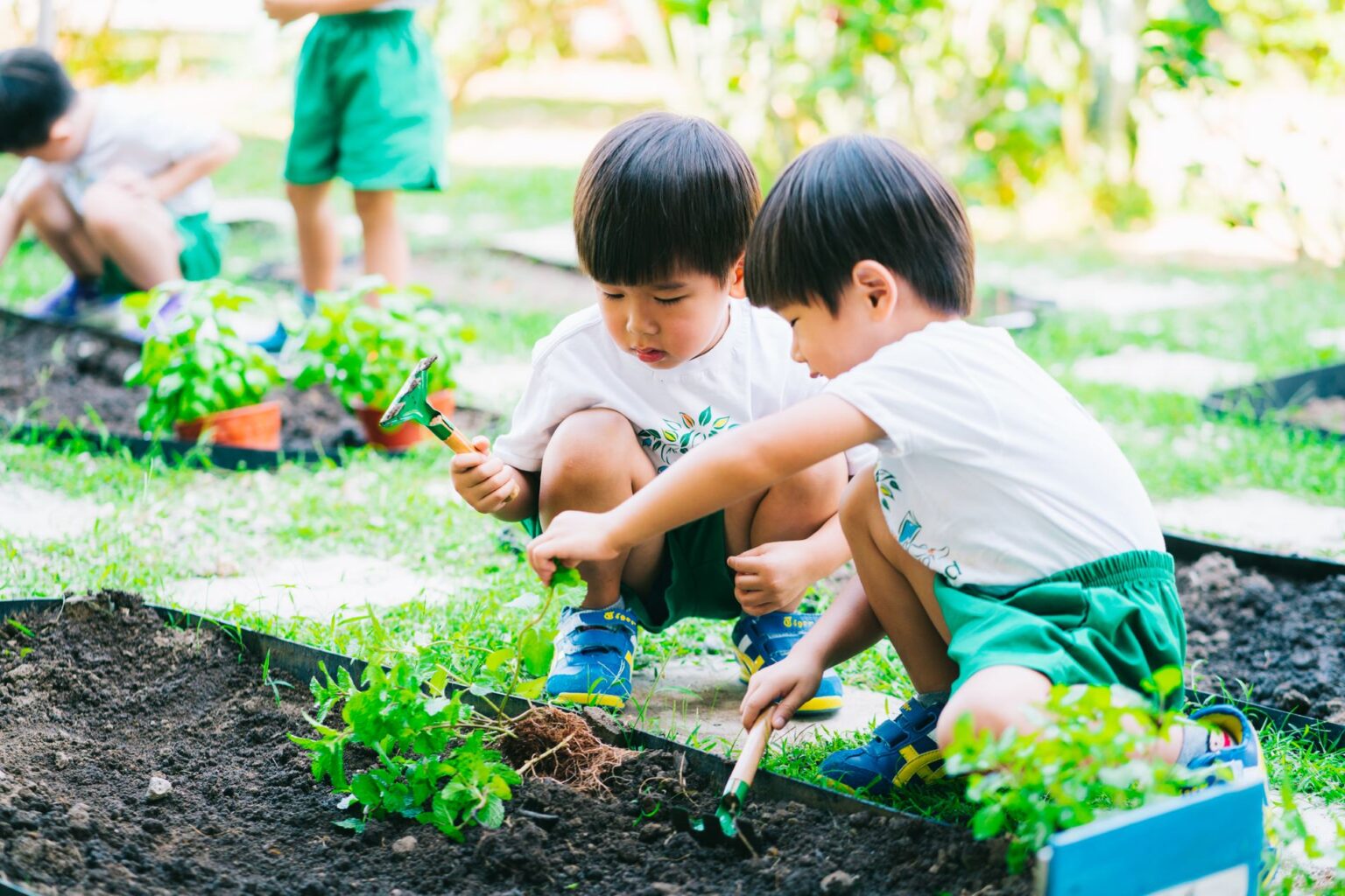 Fostering Sustainable Eating Practices from a Young Age - Infant ...