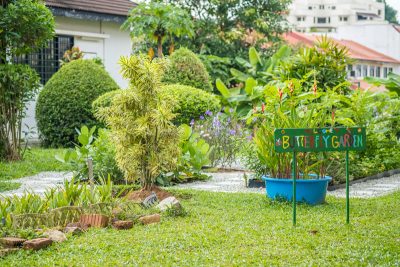 Outdoor-Garden
