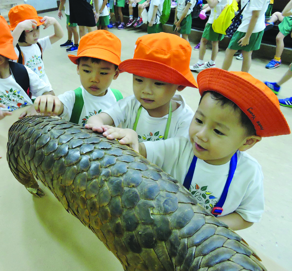 Children learned about the pangolins and other endangered animals at the Singapore Zoo.